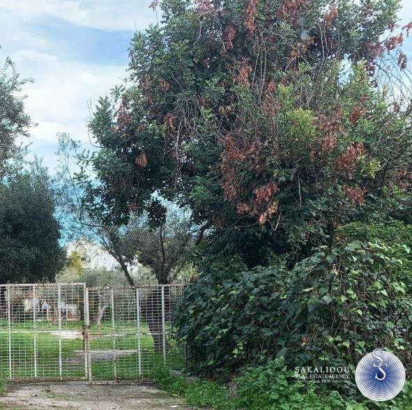 Voula For Sale Great Plot of 1.000 sqm 